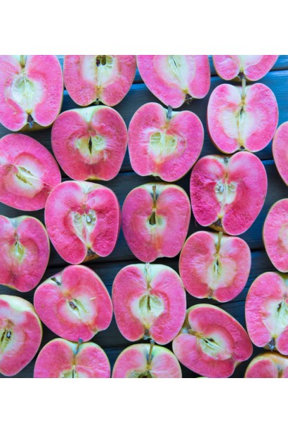 Стиглі яблука Хідден Роуз із рожево-червоним м’якушем